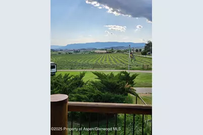 1334 County Road 250, Silt, CO 81652 - Photo 4