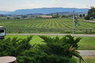 1334 Co Rd 250, Silt, CO 81652 - Photo 4