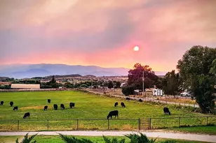 1334 Co Rd 250, Silt, CO 81652 - Photo 46