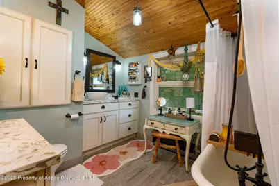 1334 County Road 250, Silt, CO 81652 - Photo 24