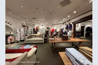 419 E Cooper Avenue, Aspen, CO 81611 - Photo 16