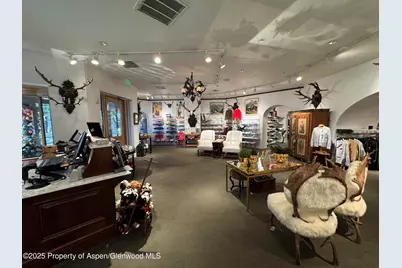 419 E Cooper Avenue, Aspen, CO 81611 - Photo 6