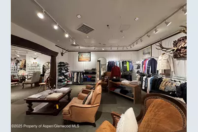 419 E Cooper Avenue, Aspen, CO 81611 - Photo 18