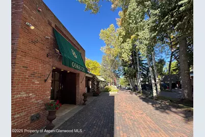 419 E Cooper Avenue, Aspen, CO 81611 - Photo 2