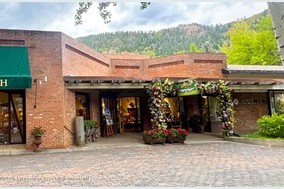 419 E Cooper Avenue, Aspen, CO 81611 - Photo 20