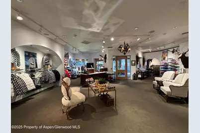 419 E Cooper Avenue, Aspen, CO 81611 - Photo 12