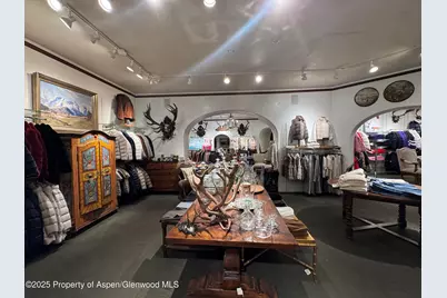 419 E Cooper Avenue, Aspen, CO 81611 - Photo 10