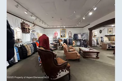 419 E Cooper Avenue, Aspen, CO 81611 - Photo 18
