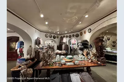 419 E Cooper Avenue, Aspen, CO 81611 - Photo 8