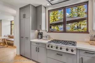 511+563 Edgewood Ln, Snowmass Village, CO 81615 - Photo 62