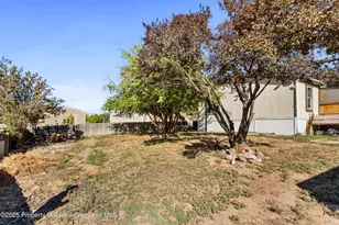 115 Silver Queen Cir, Battlement Mesa, CO 81635 - Photo 12