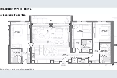 550 S Spring Street, Aspen, CO 81611 - Photo 2