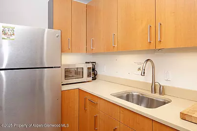 319 Main Street #303, Carbondale, CO 81623 - Photo 2