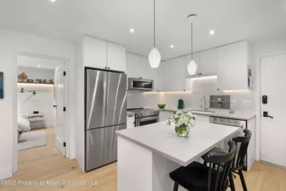 416 Vine Street #416, Aspen, CO 81611 - Photo 4