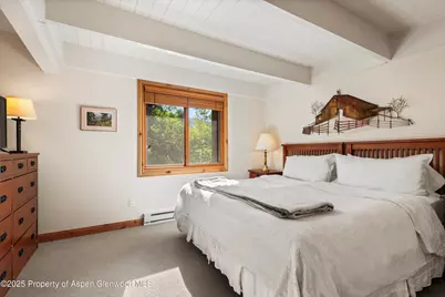 901 E Hyman Avenue #13, Aspen, CO 81611 - Photo 8