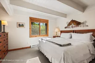 901 E Hyman Ave, Aspen, CO 81611 - Photo 8