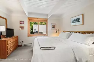 901 E Hyman Ave, Aspen, CO 81611 - Photo 6