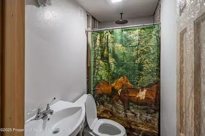 4784 County Road 312, New Castle, CO 81647 - Photo 12