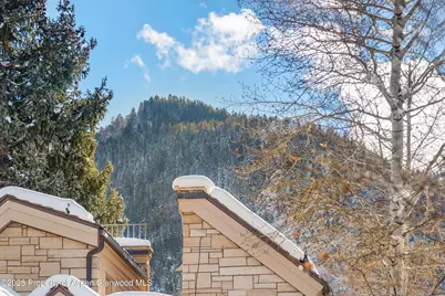825 E Hopkins Avenue #2S, Aspen, CO 81611 - Photo 24