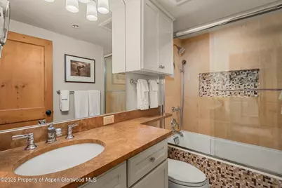 825 E Hopkins Avenue #2S, Aspen, CO 81611 - Photo 16