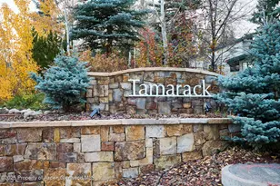 135 Carriage Way, Snowmass Village, CO 81615 - Photo 18
