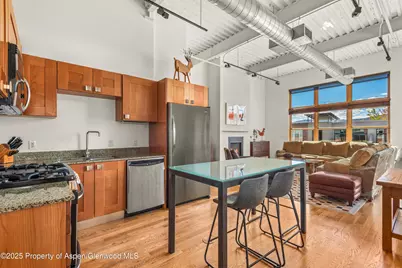 231 Robinson Street #R-340, Basalt, CO 81621 - Photo 6