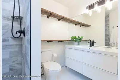 415 Park Circle #5, Aspen, CO 81611 - Photo 10
