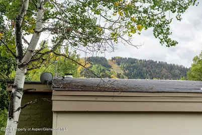 415 Park Circle #5, Aspen, CO 81611 - Photo 18
