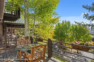 189 Light Hill Rd, Snowmass, CO 81654 - Photo 34