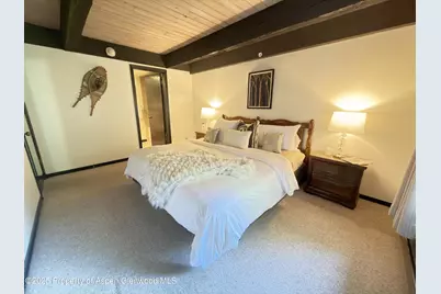 1034 E Cooper Avenue #19, Aspen, CO 81611 - Photo 10