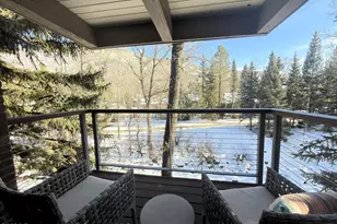 1034 E Cooper Ave, Aspen, CO 81611 - Photo 16