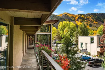 1034 E Cooper Avenue #19, Aspen, CO 81611 - Photo 20