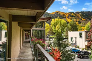 1034 E Cooper Ave, Aspen, CO 81611 - Photo 20