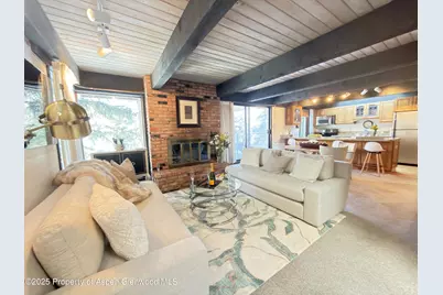 1034 E Cooper Avenue #19, Aspen, CO 81611 - Photo 1