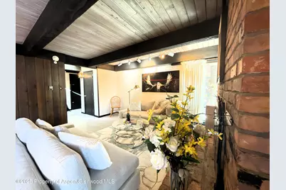 1034 E Cooper Avenue #19, Aspen, CO 81611 - Photo 8