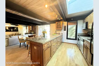 1034 E Cooper Avenue #19, Aspen, CO 81611 - Photo 6