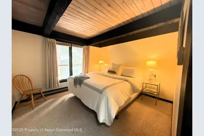 1034 E Cooper Avenue #19, Aspen, CO 81611 - Photo 14