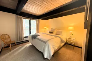 1034 E Cooper Ave, Aspen, CO 81611 - Photo 14