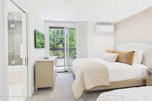 610 S West End St, Aspen, CO 81611 - Photo 14