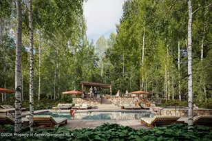 610 S West End St, Aspen, CO 81611 - Photo 20