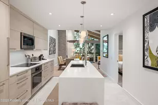 610 S West End St, Aspen, CO 81611 - Photo 2