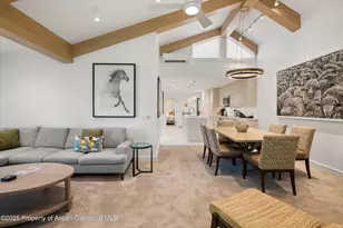 610 S West End St, Aspen, CO 81611 - Photo 6