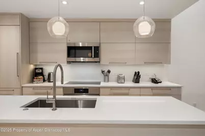 610 S West End Street #A304, Aspen, CO 81611 - Photo 4
