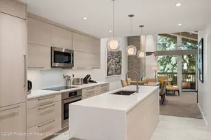 610 S West End St, Aspen, CO 81611 - Photo 2