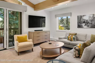 610 S West End Street #A304, Aspen, CO 81611 - Photo 8