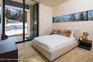 979 Red Mountain Rd, Aspen, CO 81611 - Photo 14