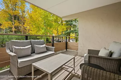 980 E Hyman Avenue #3, Aspen, CO 81611 - Photo 16