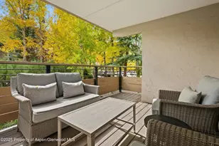 980 E Hyman Ave, Aspen, CO 81611 - Photo 16