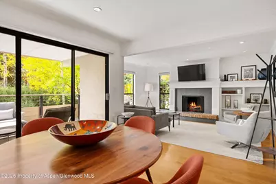 980 E Hyman Avenue #3, Aspen, CO 81611 - Photo 10