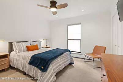 980 E Hyman Avenue #3, Aspen, CO 81611 - Photo 22